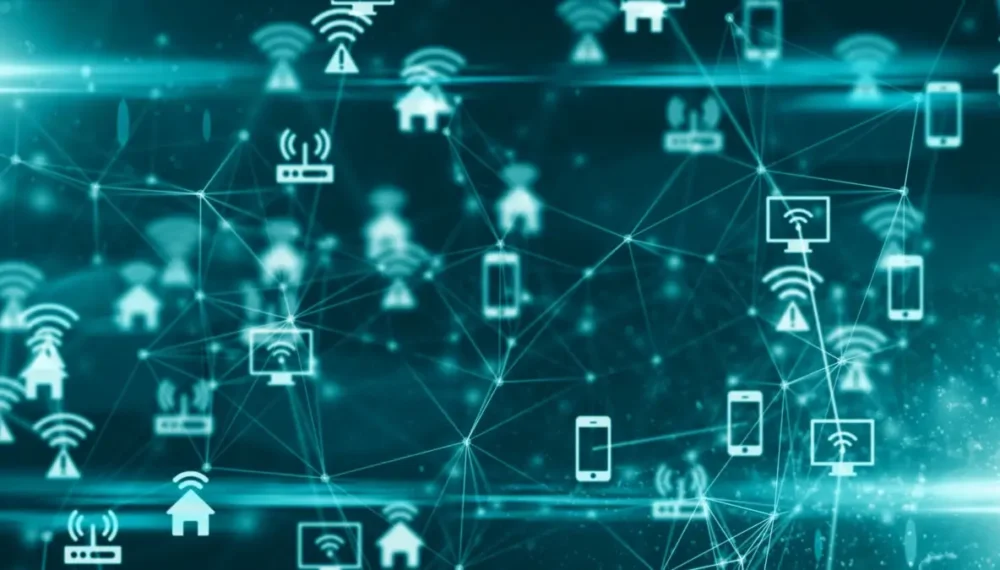 Network Network