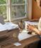 All-Inclusive Guide to Troubleshooting Common HP Printer Problems